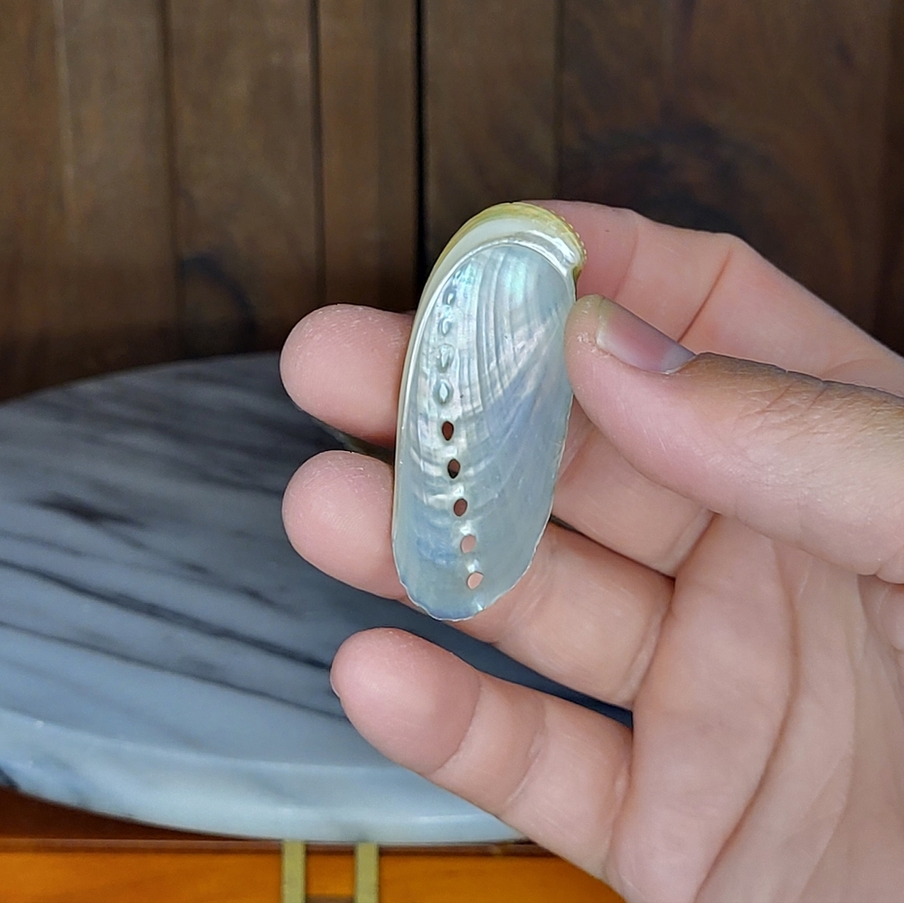 Iridescent Abalone Shell Pair - Picture 5 of 16